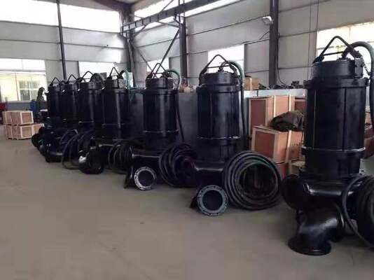 4hp 150hp Slurry Submersible Pump Suitable for Heavy Duty in Duck Farm Pump Type Submersible Offering Stable and Pumping