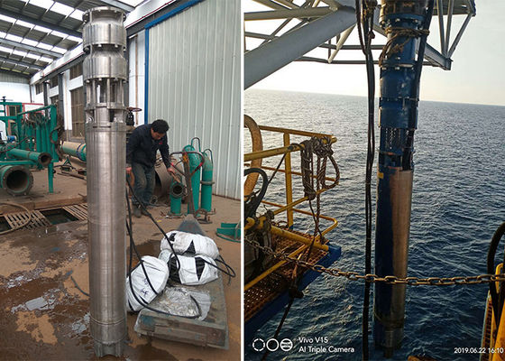 Pompa sommergibile a pozzo profondo di acqua di mare 75kw 100hp SS316L Materiale 60m testa